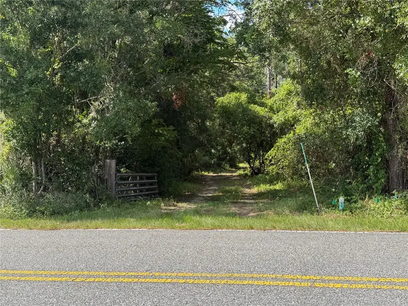 E Bates Ave, FL