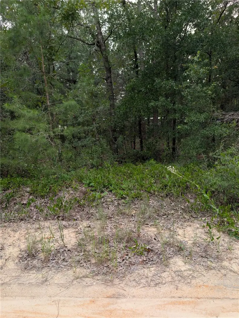 Pineway Dr, FL