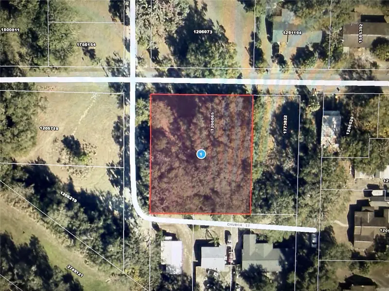 1101 E Magnolia St, FL