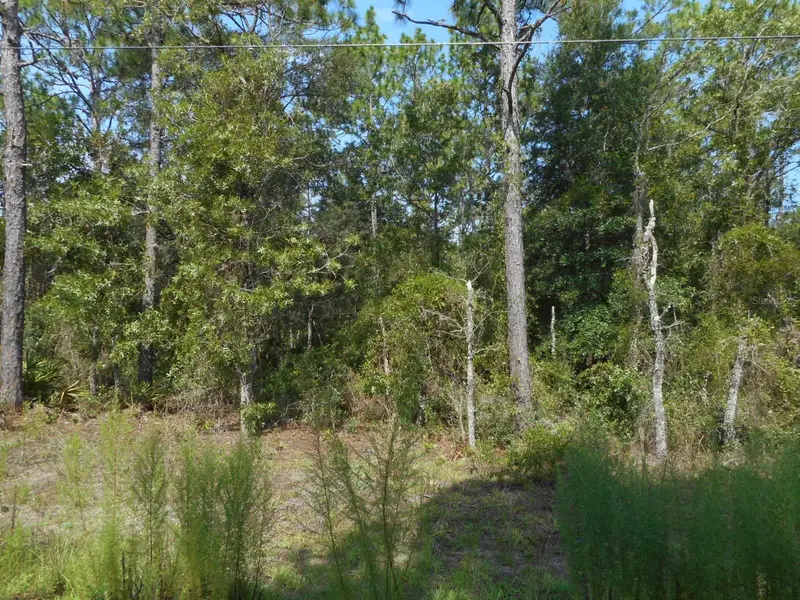 136 Ter Sw, FL