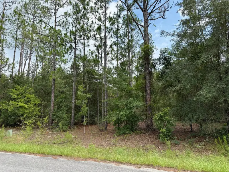6461 N Elnora Way, FL