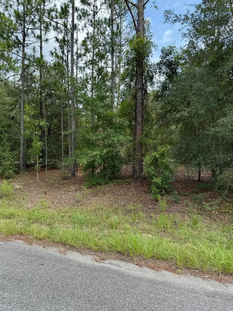 6461 N Elnora Way, FL
