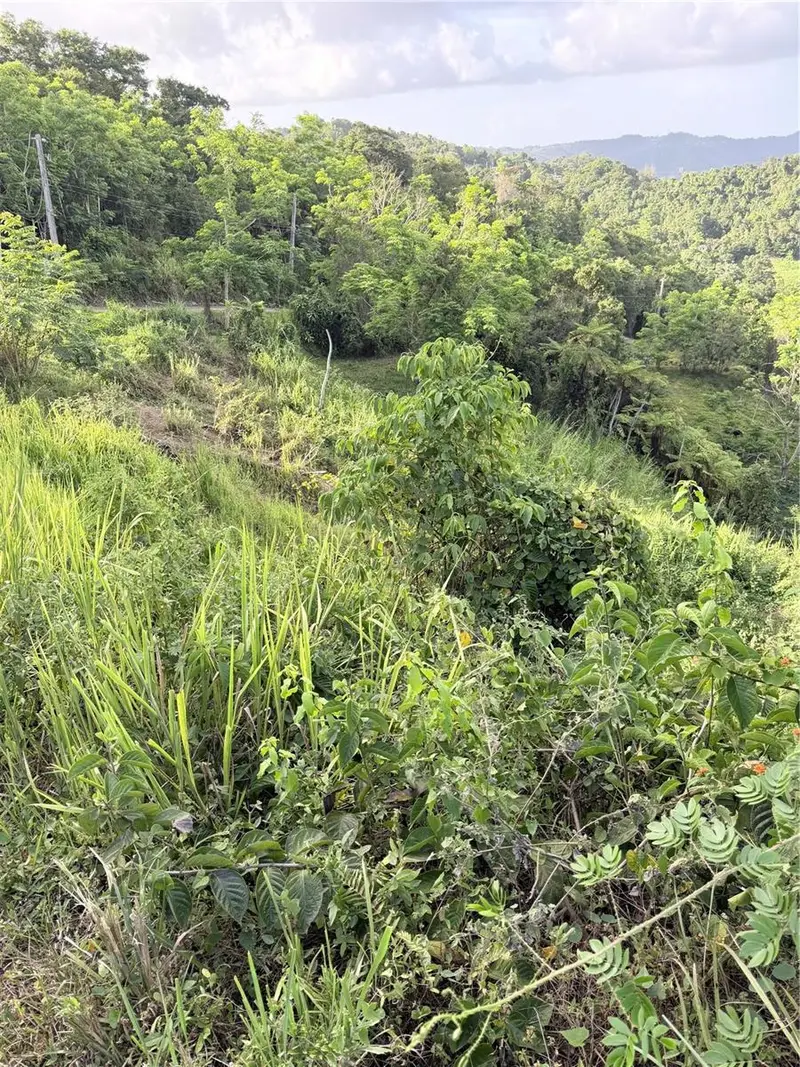 Pr 785 Km 2.0 #4, PR