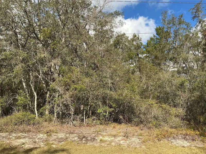 Lot 8 Fisher Trace, FL