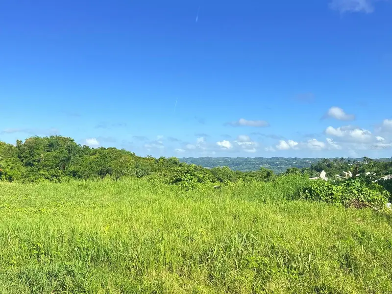 Carr 119 Km 27.9 Int Bo Hoyamala, PR