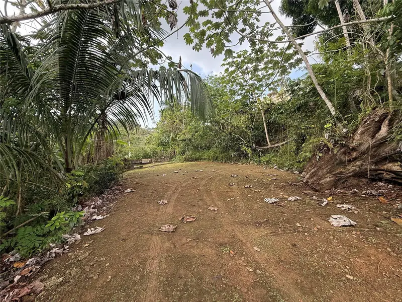 835 Km 5.4 Int,. Lot 8 Mamey Wd #Lot 8, PR