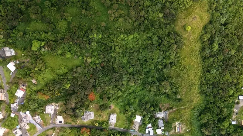 Bo Valenciano Arriba Carr 919 Km 4.0, PR
