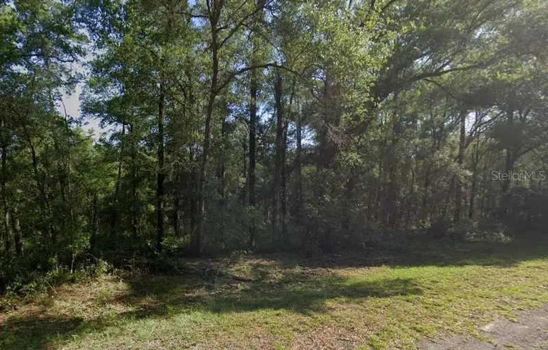 471 E Avondale Dr, FL