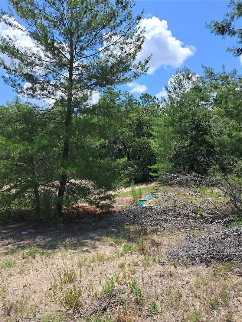 0 Sw 65 Ave Rd, FL
