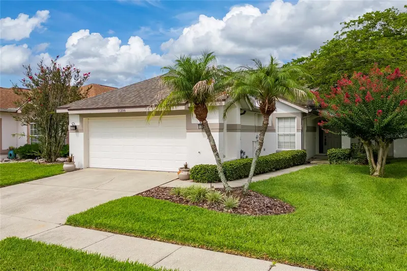 11206 Purple Plum Ct, FL
