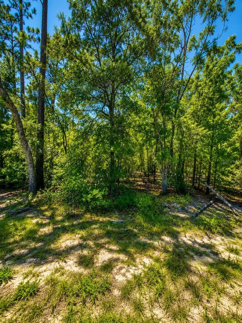 507 & 509 Baden Powell Rd, FL