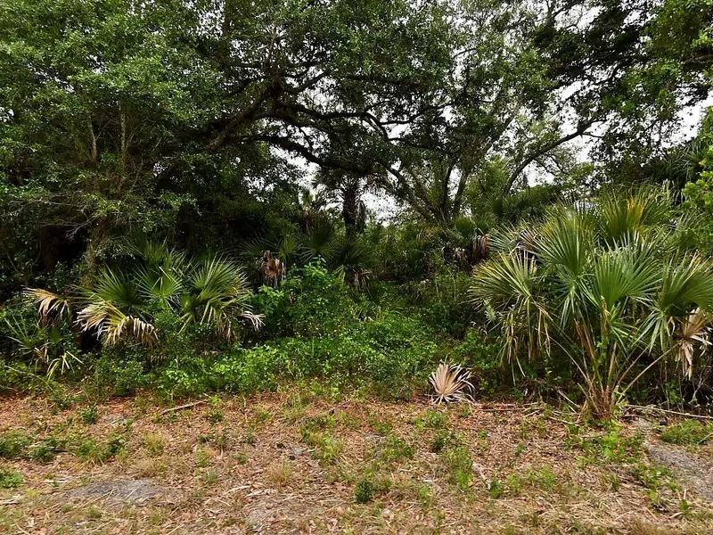 Lot 18 Dunsmuir Rd, FL