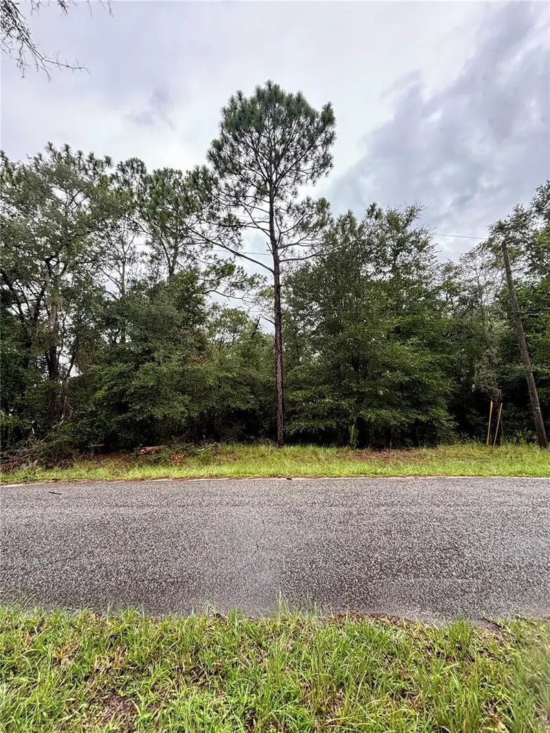 Lot 28 Sw 206 Cir, FL