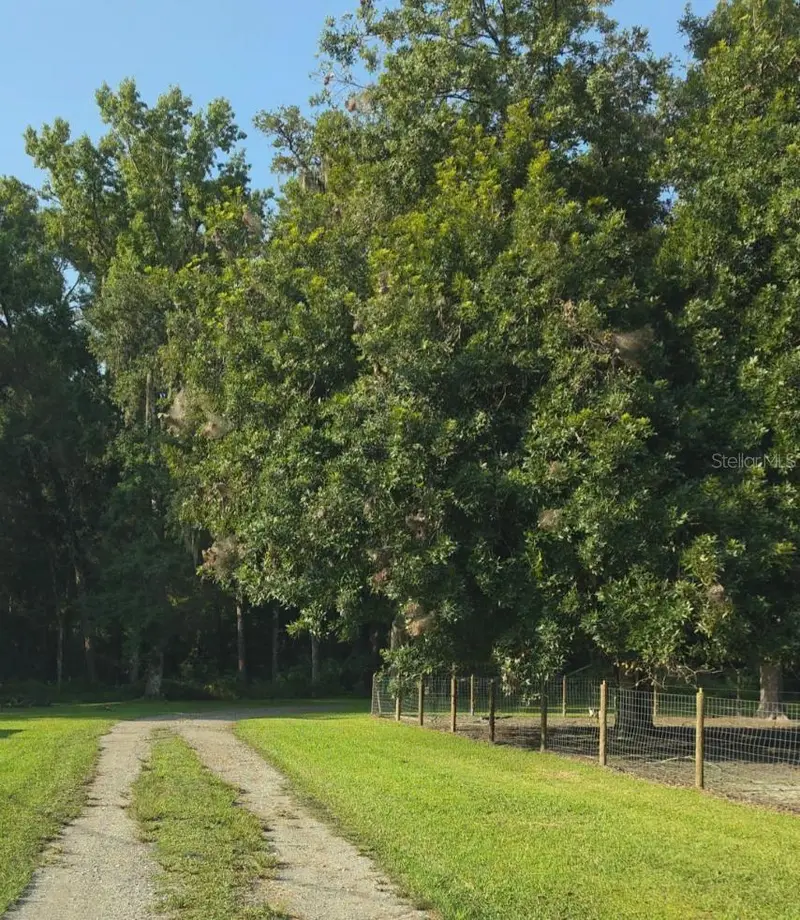 3415 Cr 679, FL