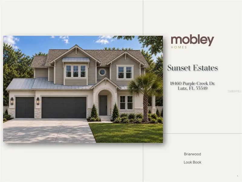 18460 Purple Creek Ln, FL