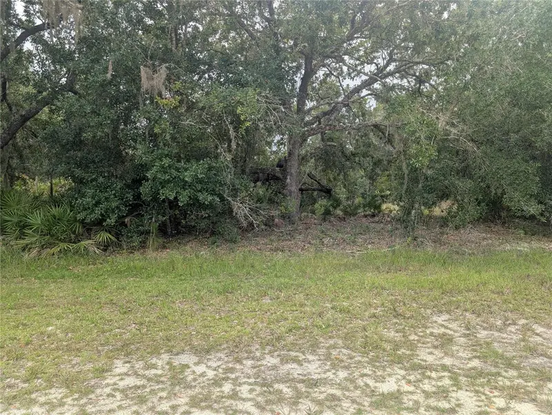 Gaillardia Dr, FL