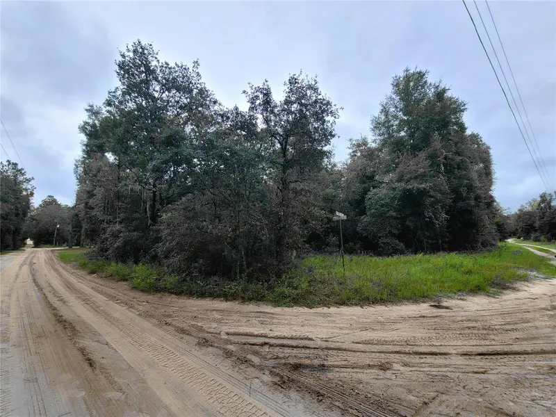 Tbd Ne 81st Ter Dr, FL
