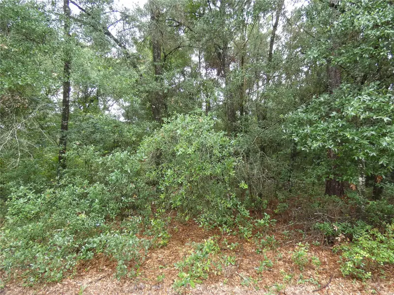 Tbd Sw 151 St Pl, FL