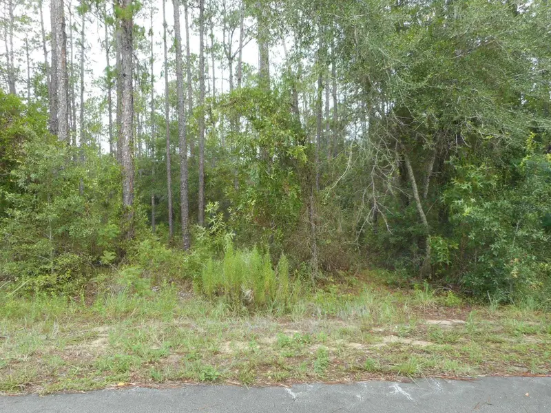 Lot 5 Sw Southview Ct, FL