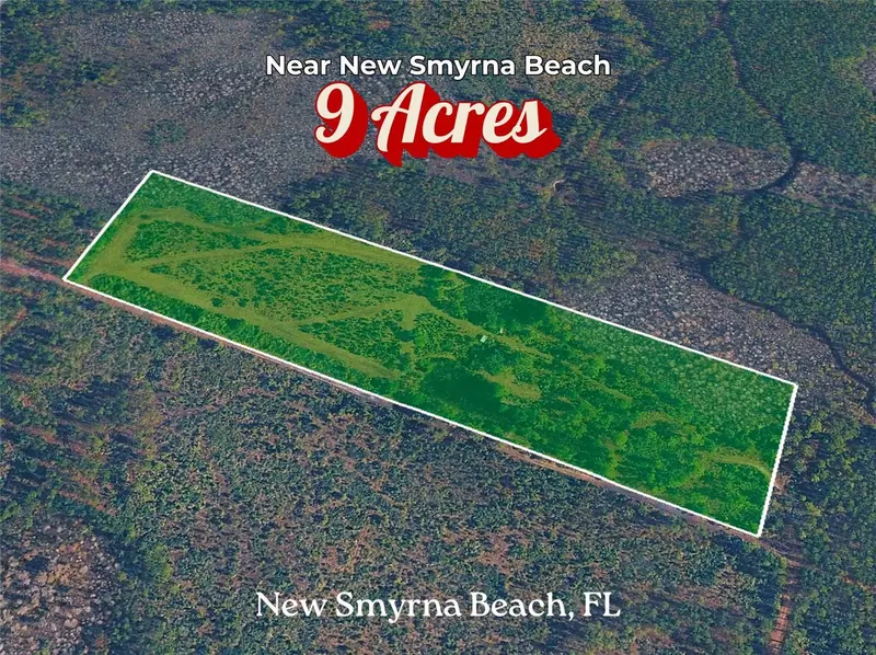 Boy Scout Camp Rd, FL