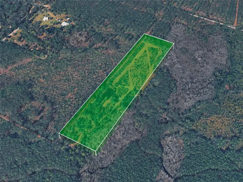 Boy Scout Camp Rd, FL
