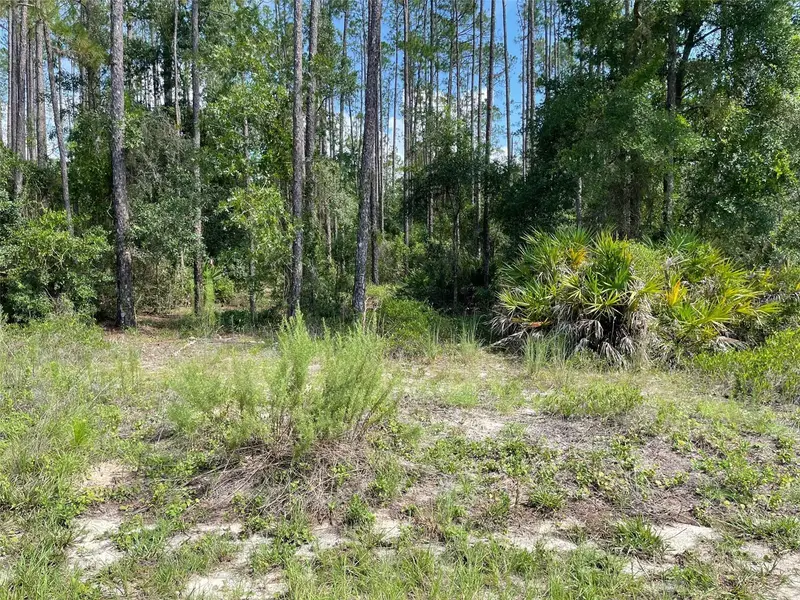 Lot 23 Sw Tiger Lake Blvd W, FL