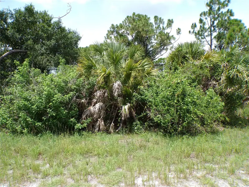 Constitution Dr, FL