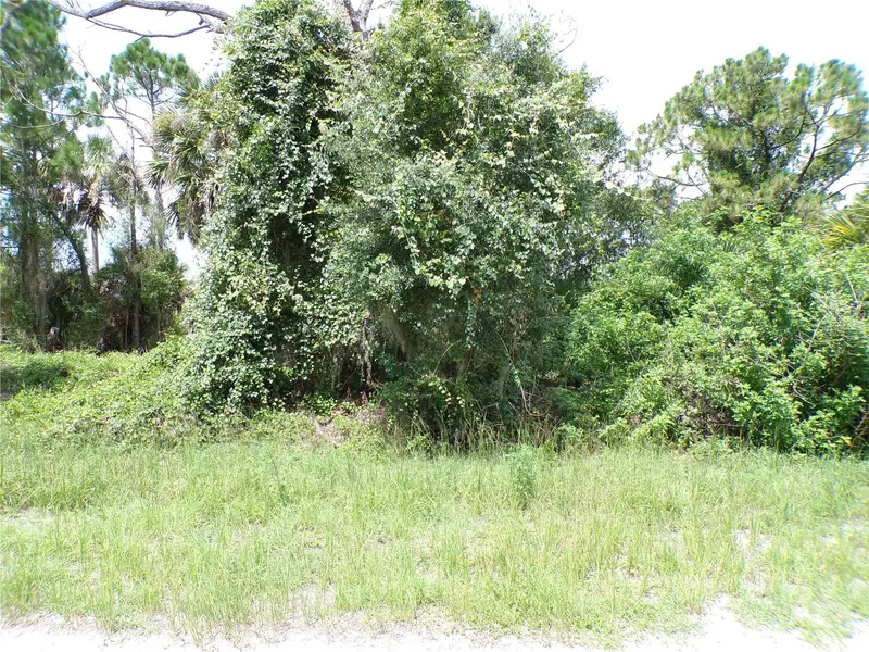 Constitution Dr, FL