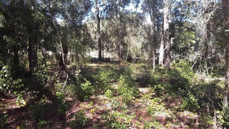 00 Nw Chestnut Ave, FL