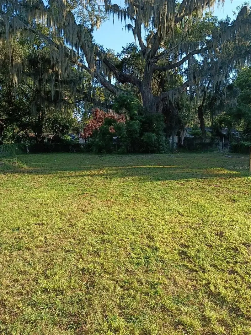 Orlando, Fl, FL