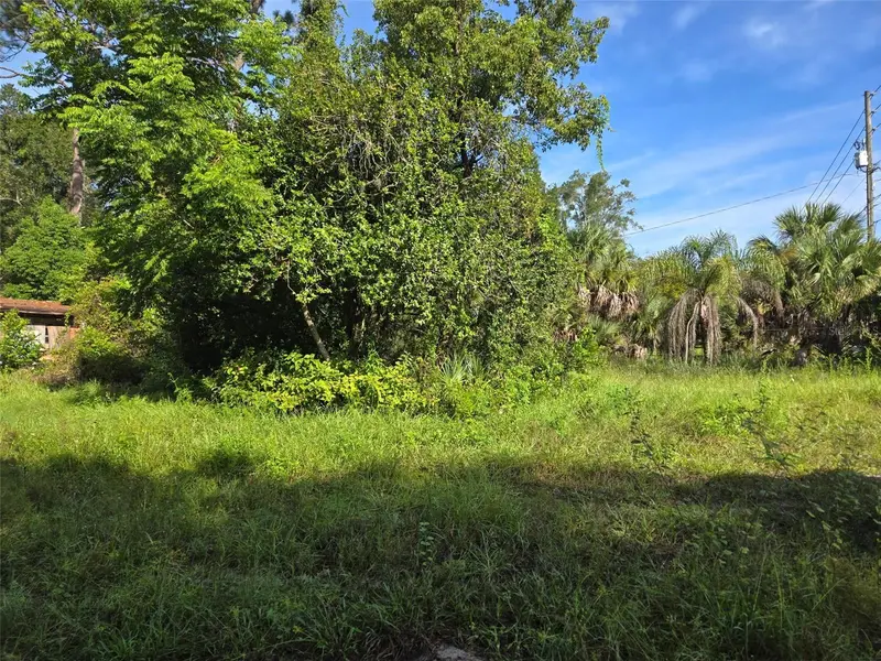 5028 Mount Plymouth Rd, FL