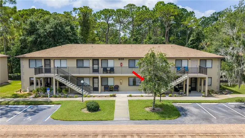 1601 Big Tree Rd #803, FL