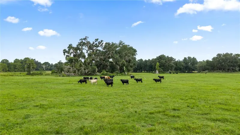 County Road 774, FL