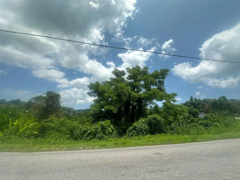 Carr. 4403 Barrio Naranjo, PR