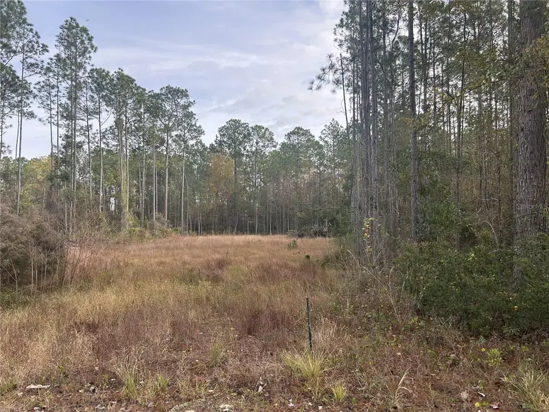 75726 Edwards Rd, FL