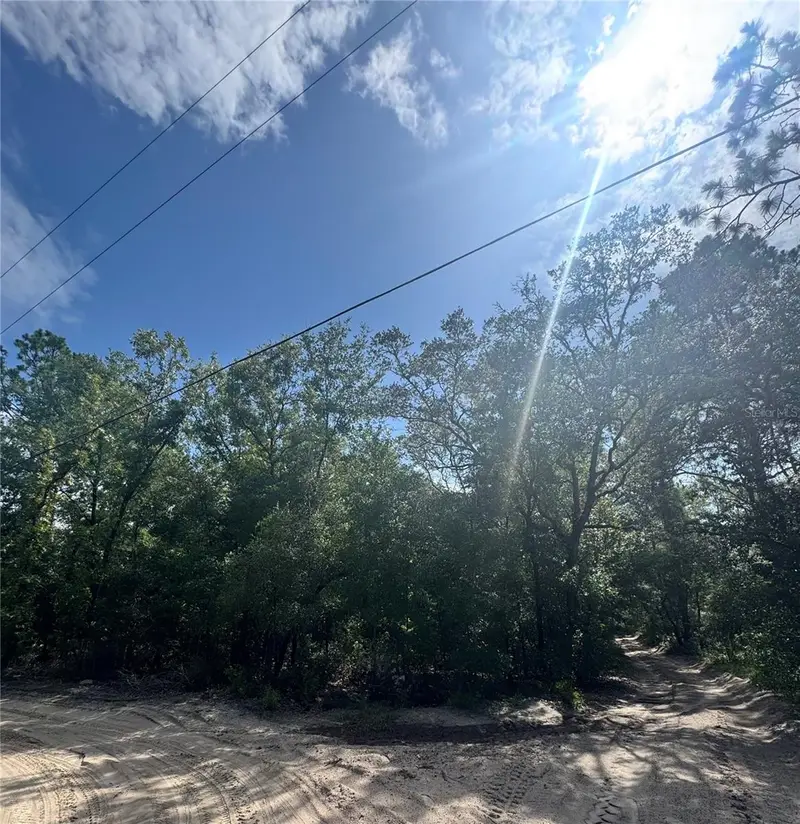 Tbd Sw 65th Ave, FL