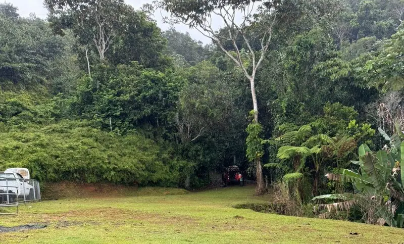 Bayamon, Pr, PR