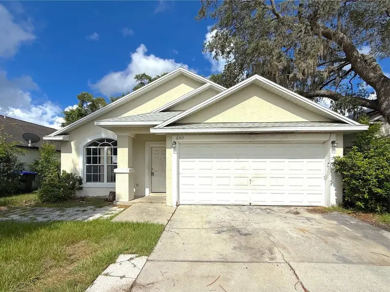 6313 Livewood Oaks Dr, FL