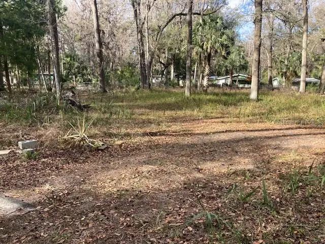2456 N Jungle Camp Rd #1, FL