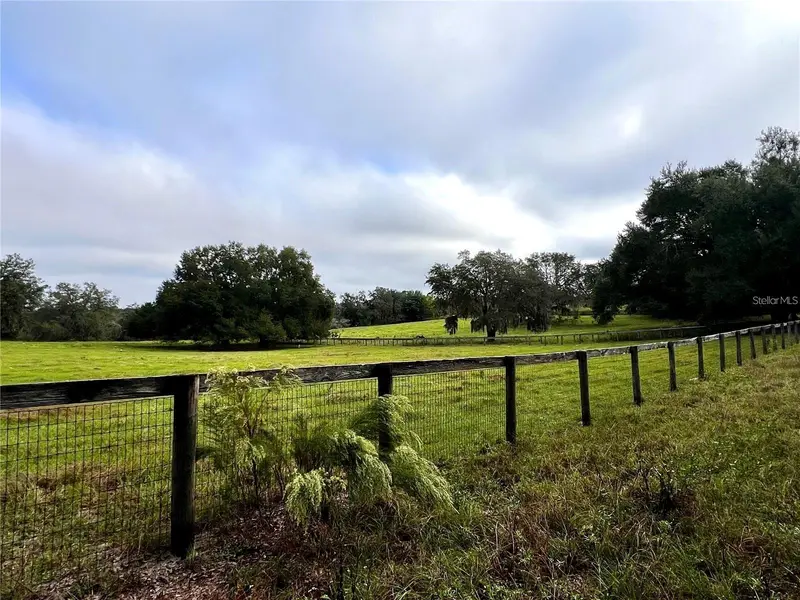 0 Lake Ella Rd Rd, FL