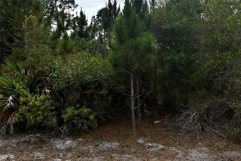 Tbd Simca Ln, FL