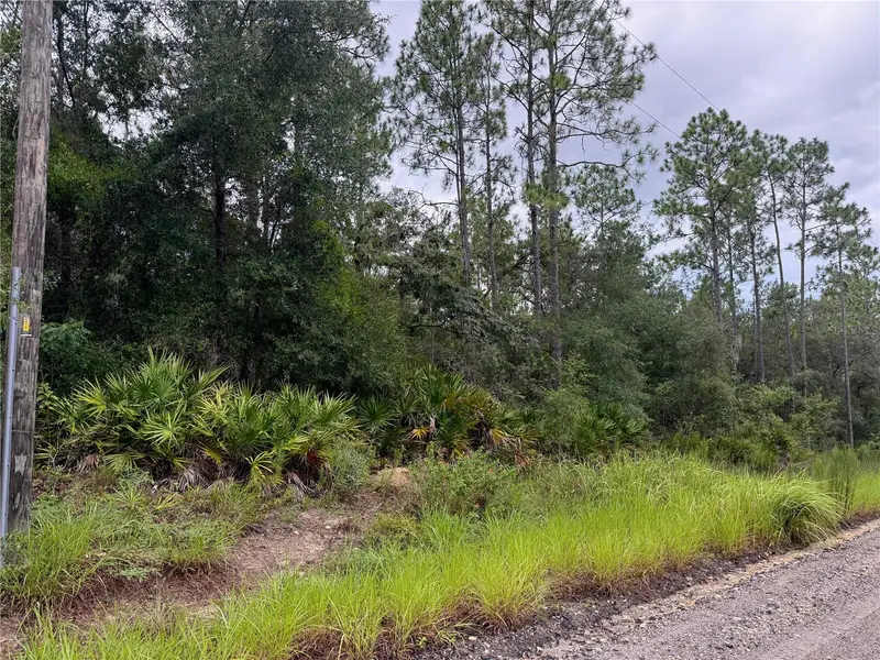 175 Ct, FL