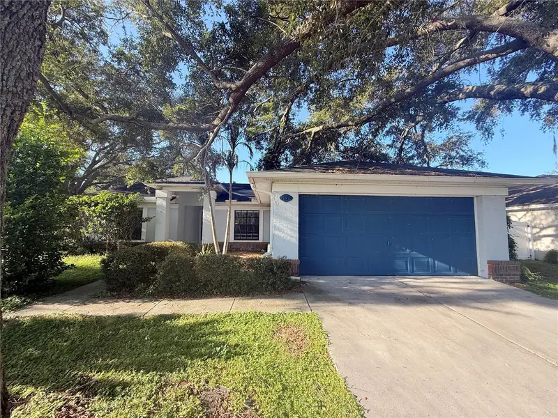 13311 Hollowbend Ln, FL