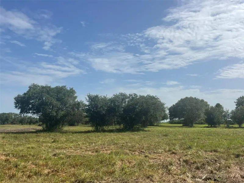 22100 Hill Grade Rd, FL