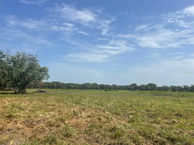 22100 Hill Grade Rd, FL
