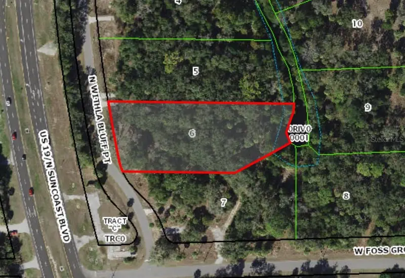 11043 N Withla Bluff Pt, FL