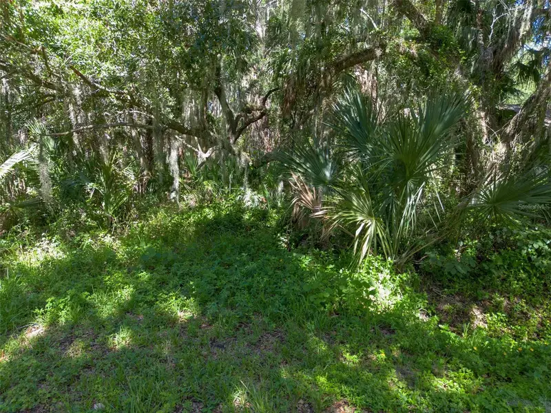 Beach Parkway, FL