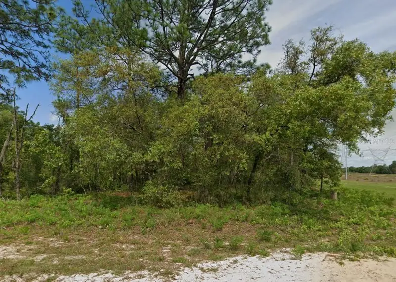 6895 N Varsity Ave, FL