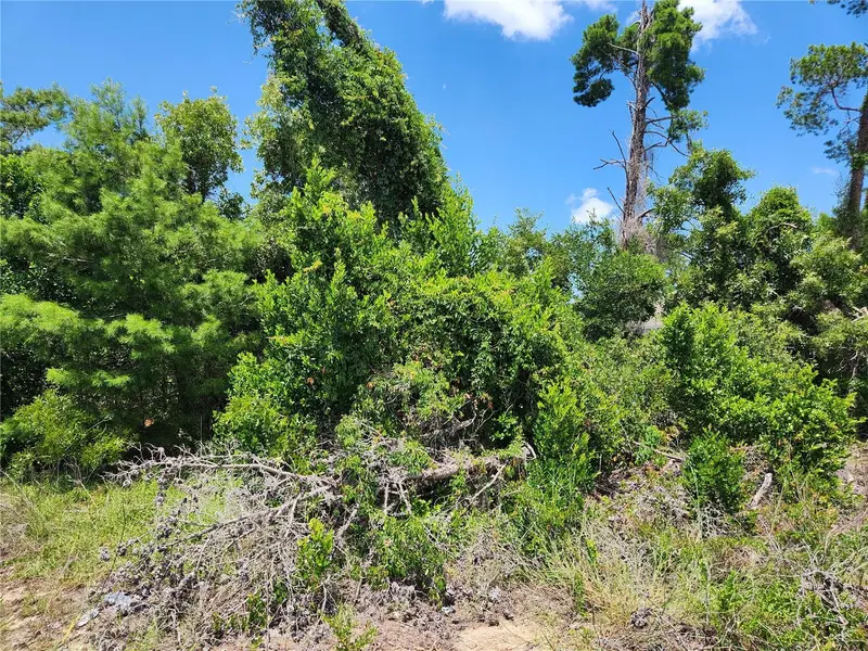 6241 Mariner Blvd #Lot 31, FL