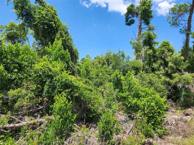 6241 Mariner Blvd #Lot 31, FL